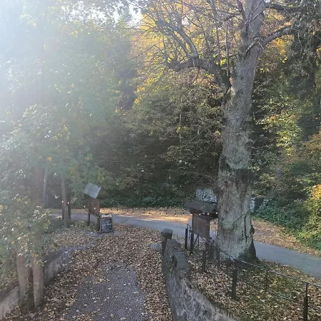 Panzió Hubertus Srebrna Góra