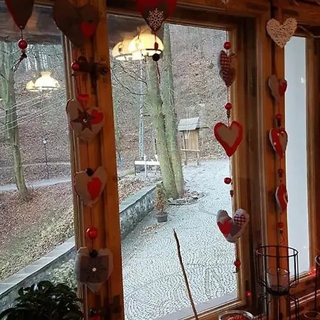 Hubertus Srebrna Gora