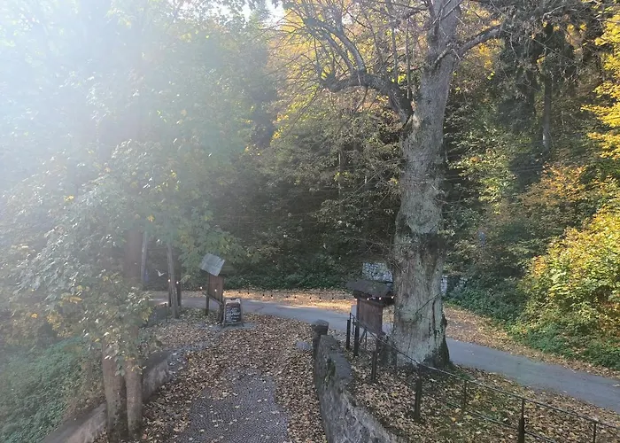 Bed & Breakfast Hubertus Srebrna Gora